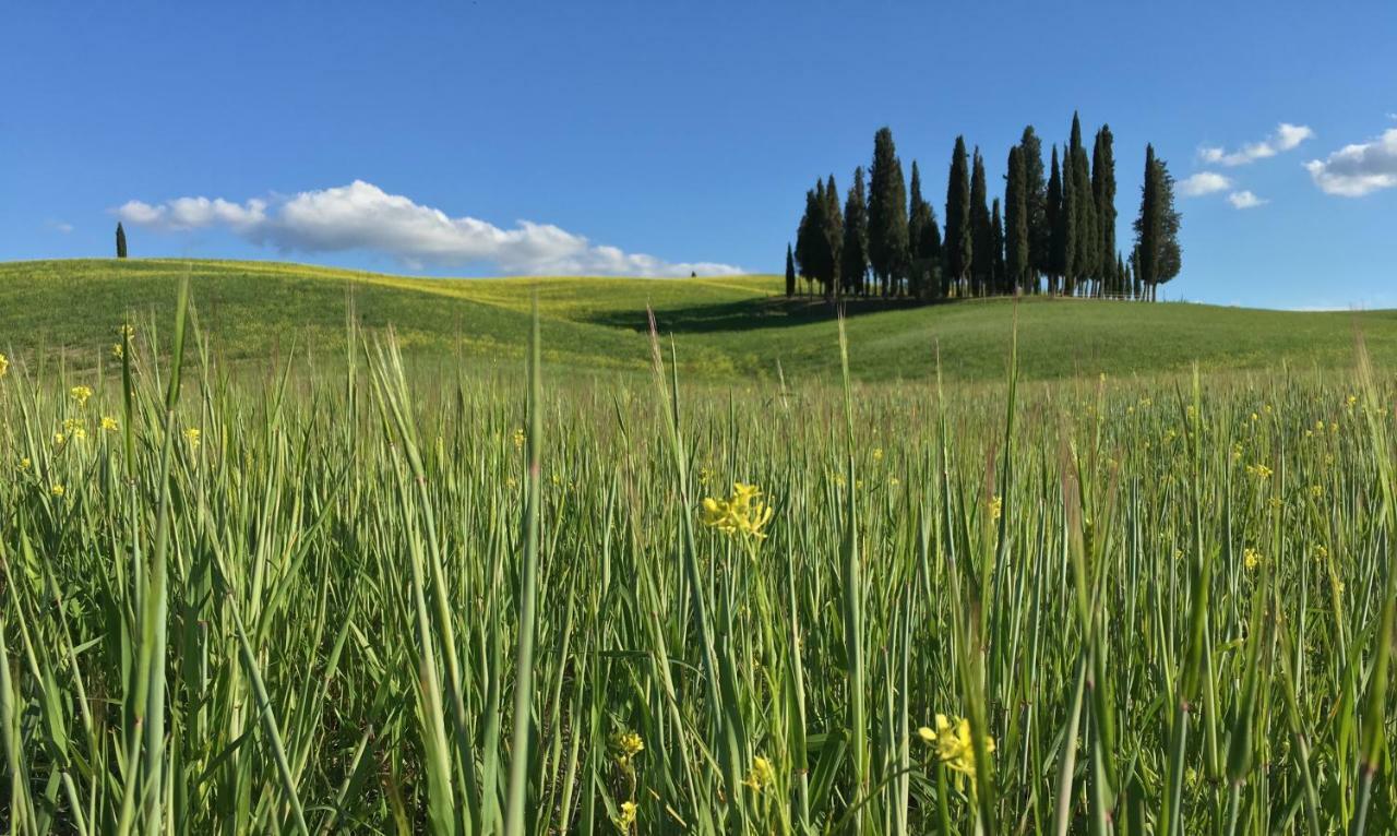Residenza D'Epoca La Rosa Lejlighed Pienza Eksteriør billede